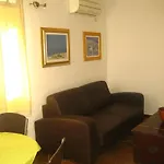 Vanda *